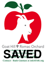 goat logo saved