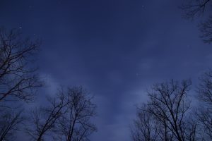 night-clouds-trees-stars