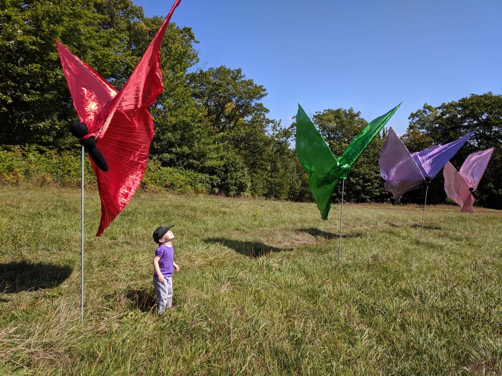 small child with butterfly flags in a fied